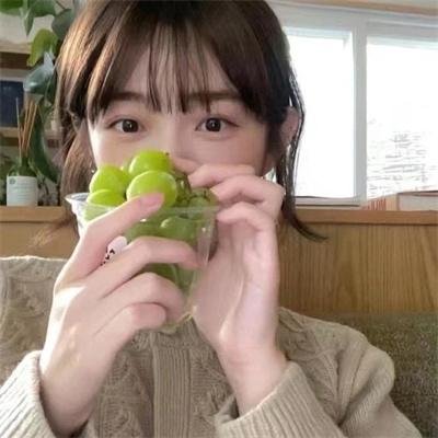 山菊